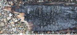 Photo Textures of Wood